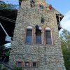 zelma_2019_7